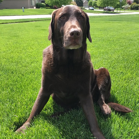 Meet your Posher, Kelly - Picture 1 of 1